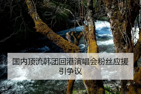 国内顶流韩团回港演唱会粉丝应援引争议
